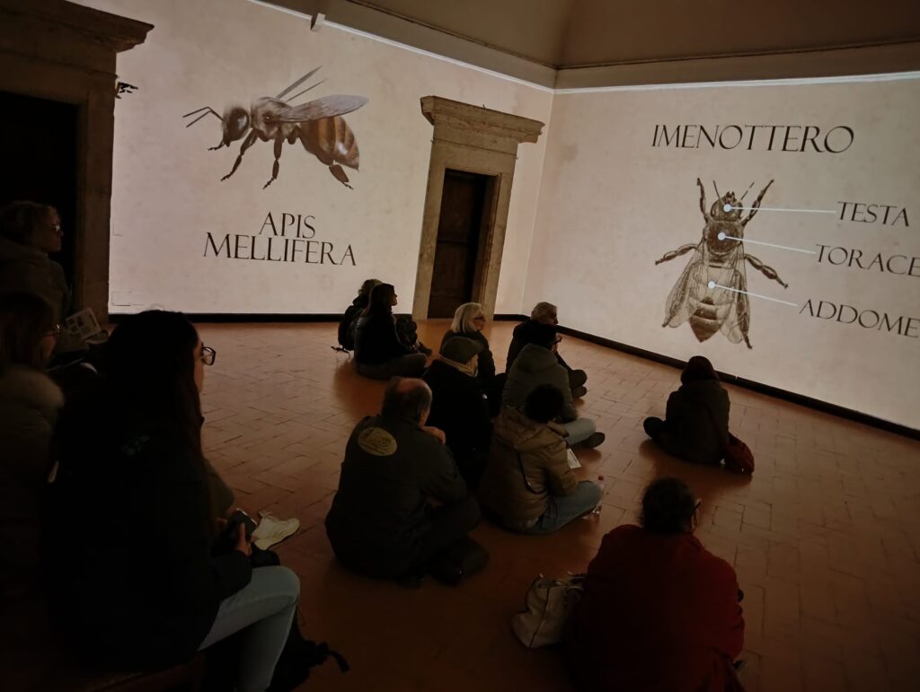 Si sono concluse domenica 22 marzo, le attività del Corso di formazione in Apiterapia a Palazzo Cesi di Acquasparta, il primo nel suo genere in Umbria e non a caso molto partecipato anche da fuori Regione. Sono stati 23 in totale gli iscritti provenienti da Umbria, Lazio, Toscana, Abruzzo e Sicilia, con le più diverse competenze “di partenza”: apicoltori, agricoltori, operai, educatori, estetisti, naturalisti, impiegati e così via. 🌿 🤓 Una full immersion teorica e pratica di tre giorni (Venerdì pomeriggio, Sabato e Domenica intere giornate), nei molteplici benefici derivanti dall’utilizzo dei prodotti dell’alveare - miele, cera, propoli, pappa reale, veleno d’api, pane d’api e persino dai magnifici effluvi provenienti dagli alveari - fino ad imparare come si costruisce un vero apiario olistico, unendo il benessere delle api a quello del genere umano, anche in chiave culturale, socio-educativa, didattica e turistica. 🍀 🙏 Da parte nostra un ringraziamento particolare alla dott.ssa Laura Cavalli (Farmacista) e al dott. Piero Milella (Biologo) del gruppo Api&Benessere, associato come noi a WBA World Biodiversity Association onlus, relatori e promotori del corso ed esperti di Apiterapia, ai quali volentieri abbiamo fornito il nostro supporto logistico e organizzativo. Grazie anche alle operatrici di Associazione ACQUA (soggetto gestore di Palazzo Cesi), Valentina Gubbiotti e Alice Mammoli, per il lavoro svolto in preparazione e durante il corso, che ci ha consentito di ospitare al meglio relatori, iscritti e attività. Grazie inoltre all'apicoltore Alessio Carozzi di ApiariUmbri per aver fornito il miele (a km zero!) di Acquasparta per la parte pratica in Apicosmesi. 🍯 👉 La Fondazione “MELEIROS Api, Miele, Biodiversità”, gestore della Sala Immersiva “Be to Bee” (unica in Italia sui temi delle api e del miele) https://www.youtube.com/watch?v=YoR8Nfpo0uo, che sta curando i contenuti tecnico-scientifici del prossimo Museo delle Api e del Miele, previsto in modo “diffuso” negli spazi interni ed esterni di Palazzo Cesi di Acquasparta e tra gli obiettivi principali del co-progetto di gestione in essere, prosegue nelle sue attività per la sempre maggiore diffusione di una cultura apistica eco-sostenibile e accessibile, attraverso più settori di intervento: naturalistico, socio-educativo, storico-archeologico, linguistico.