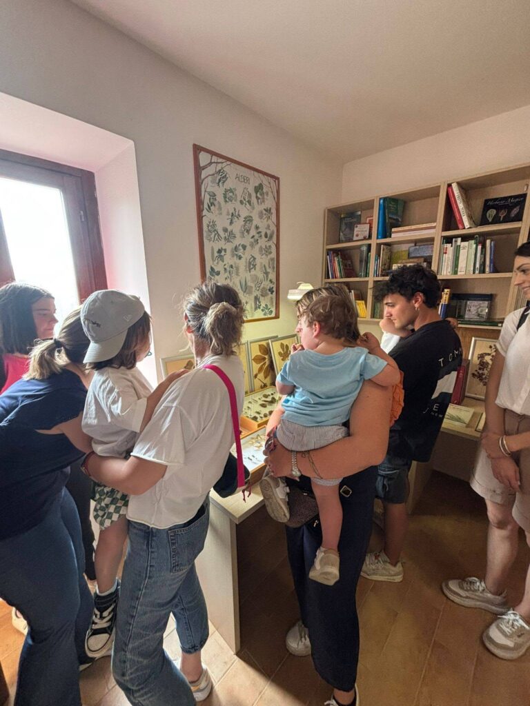 Venerdì scorso, 29 maggio, al Museo Naturalistico di Lubriano (VT) abbiamo ricevuto il bellissimo gruppo dell'Asilo Nido Girotondo di Orvieto, con 13 bambini tra 1 e 3 anni, accompagnati da 25 genitori, 3 educatrici (Valentina, Chiara, Benedetta) e 1 ausiliaria (Alessia), che ringraziamo sentitamente per averci selezionato! 🥰 🐝 Il centro storico di Lubriano, come noto la più bella terrazza sulla Valle dei Calanchi, è stato attraversato da questo "piccolo sciame" 😊, che è stato poi accolto alla sede del museo per un bella colazione a base di pane e miele 🍞🍯 la parte didattica e i laboratori, alla scoperta del mondo delle api! 🐝 🌳 Le "uscite in campo" sono proseguite al punto di affaccio del Monumento Naturale Balza di Seppie presso l'Azienda Agricola "Montesu" 🍀www.parchilazio.it/monumento_naturale_balza_di_seppie 🙏 Grazie alle nostre operatrici Federica, Sara e Serena per l'organizzazione, il supporto e lo svolgimento delle attività, e come sempre grazie a Sebastiano Montesu per l'ospitalità. 🌿 Vedi meno