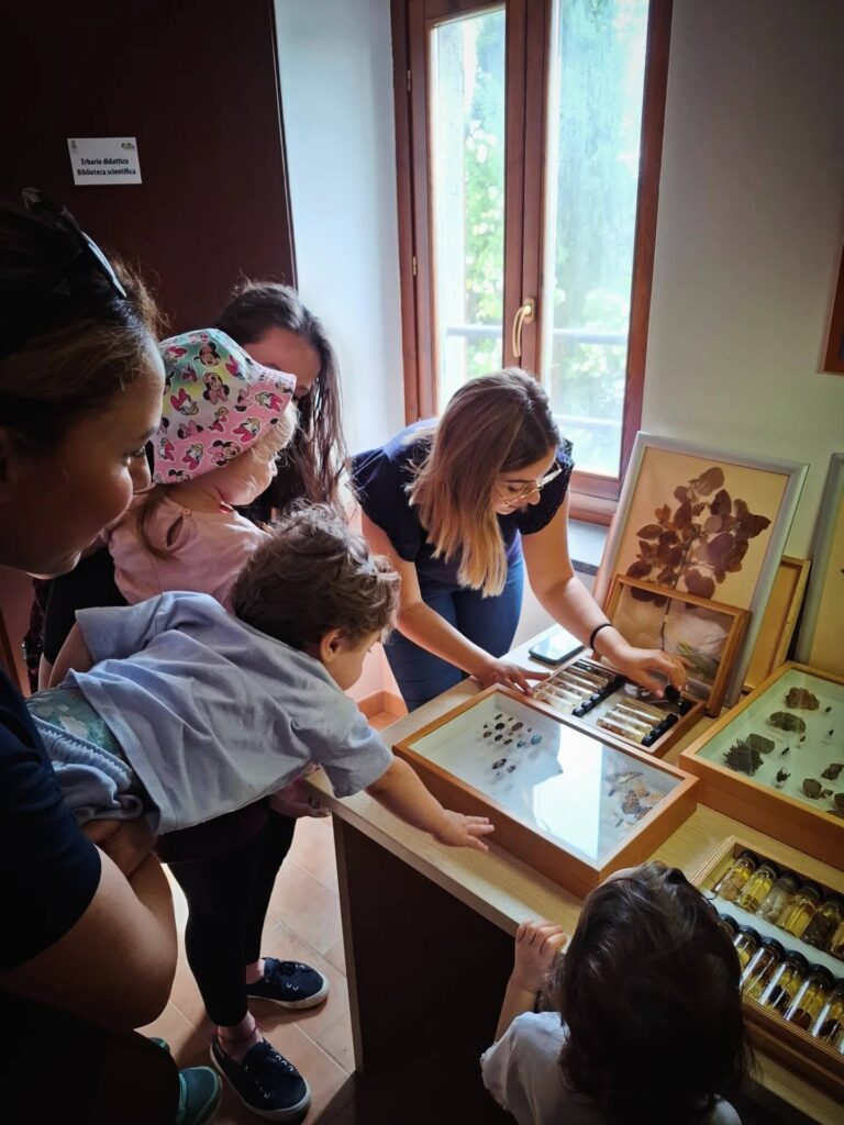 Venerdì scorso, 29 maggio, al Museo Naturalistico di Lubriano (VT) abbiamo ricevuto il bellissimo gruppo dell'Asilo Nido Girotondo di Orvieto, con 13 bambini tra 1 e 3 anni, accompagnati da 25 genitori, 3 educatrici (Valentina, Chiara, Benedetta) e 1 ausiliaria (Alessia), che ringraziamo sentitamente per averci selezionato! 🥰 🐝 Il centro storico di Lubriano, come noto la più bella terrazza sulla Valle dei Calanchi, è stato attraversato da questo "piccolo sciame" 😊, che è stato poi accolto alla sede del museo per un bella colazione a base di pane e miele 🍞🍯 la parte didattica e i laboratori, alla scoperta del mondo delle api! 🐝 🌳 Le "uscite in campo" sono proseguite al punto di affaccio del Monumento Naturale Balza di Seppie presso l'Azienda Agricola "Montesu" 🍀www.parchilazio.it/monumento_naturale_balza_di_seppie 🙏 Grazie alle nostre operatrici Federica, Sara e Serena per l'organizzazione, il supporto e lo svolgimento delle attività, e come sempre grazie a Sebastiano Montesu per l'ospitalità. 🌿 Vedi meno