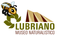 Lubriano Museo Naturalistico